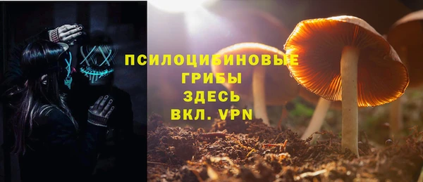 a pvp Пересвет