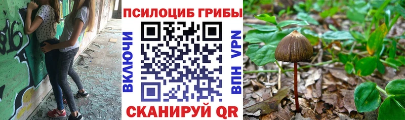Псилоцибиновые грибы Cubensis  Купить закладки  Мирный 